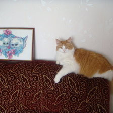 Работа «№80157»