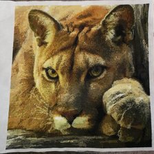 Работа «пума»