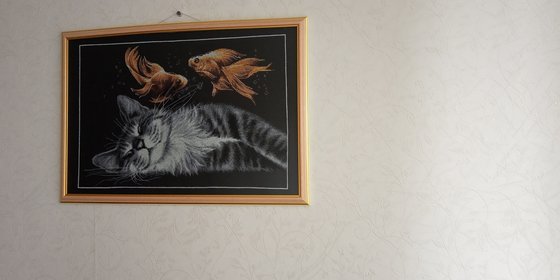 Работа «Сон кота»