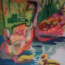 Работа «Cisnes de Colores, año 2017»