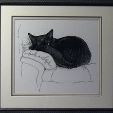 Работа «№80420»