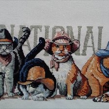 Работа «Коты»