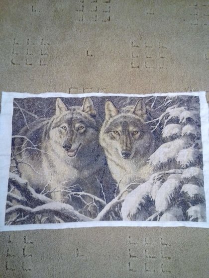 Работа «№80466»