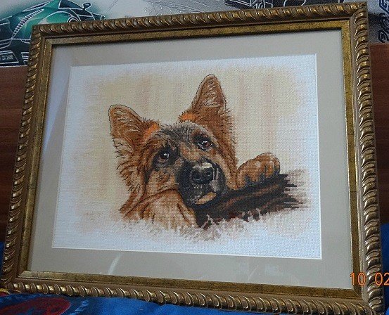 Работа «лохматый ушастик»