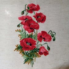 Работа «№80554»