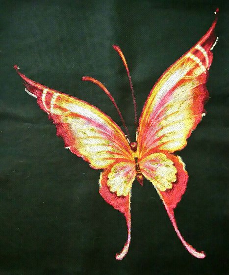 Работа «№80628»