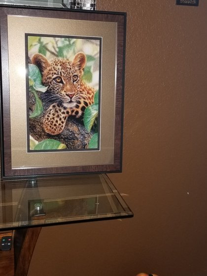 Работа «Tree hugger»