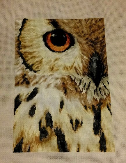 Работа «Сова.»