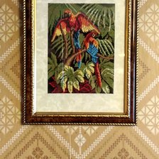 Работа «Попугаи 2019»