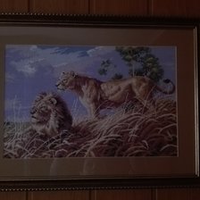 Работа «№80698»