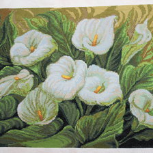 Работа «Каллы»