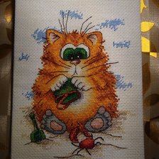 Работа «Кот на пляже.»