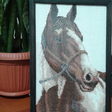 Работа «Лошадь»