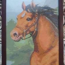 Работа «№80991»