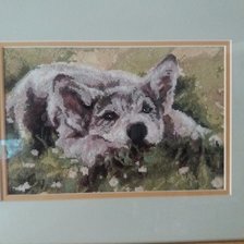 Работа «№80992»