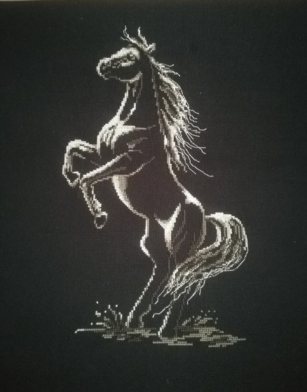 Работа «Zaczarowany koń»