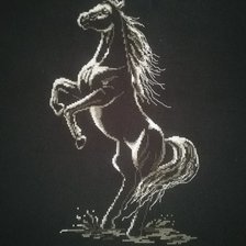 Работа «Zaczarowany koń»