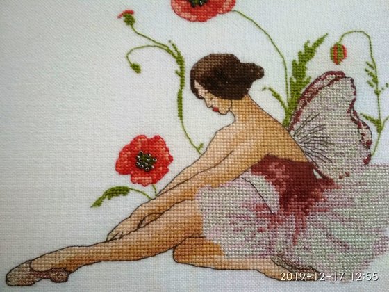 Работа «Фея алых маков.»