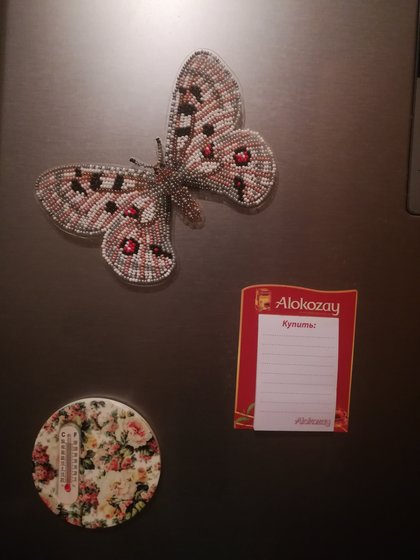 Работа «Бабочка Аполлон обыкновенный»