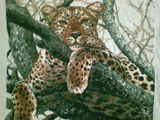 Работа «Леопард»