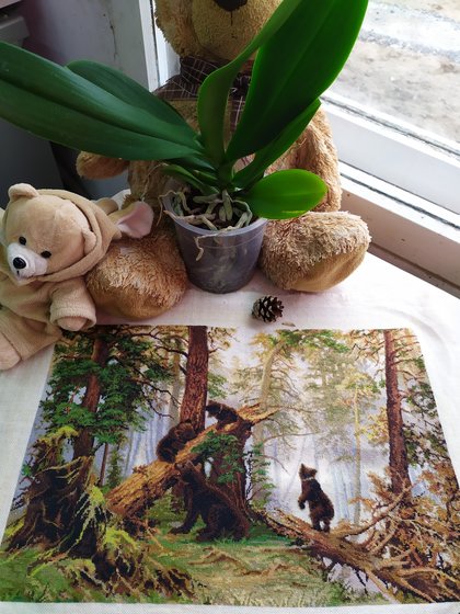 Работа «Мишки в сосновом лесу от Luca-S»