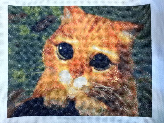 Работа «Кот в сапогах»