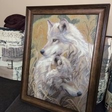 Работа «Мої вовчики»