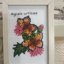 Работа «№81355»