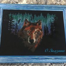 Работа «Ночной взгляд»