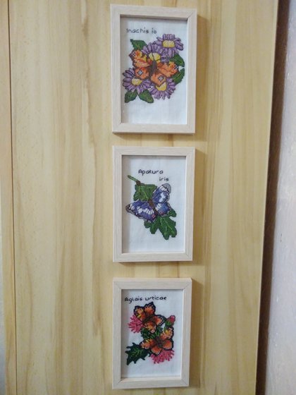 Работа «Мини коллекция»