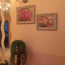 Работа «Алиса, Тюльпаны и Пионы»