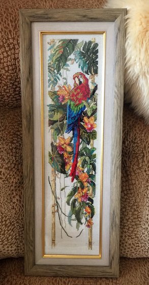 Работа «Тропический попугай»