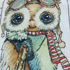 Работа «Совяш»