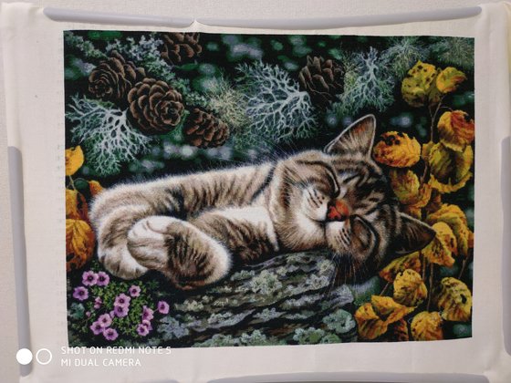 Работа «№81532»