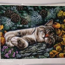 Работа «№81532»