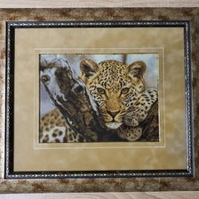 Работа «Леопард»