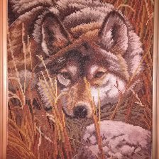 Работа «Волк»