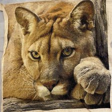 Работа «Пума»