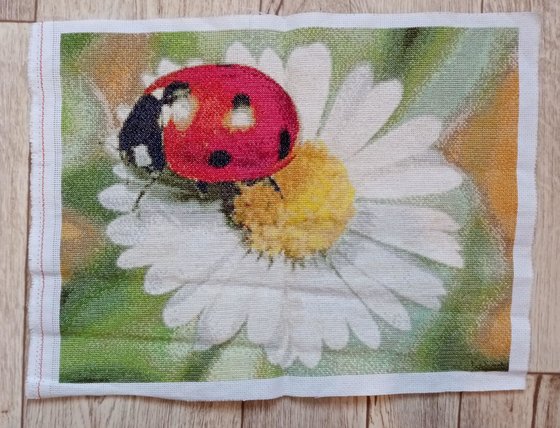 Работа «Букашка и ромашка»