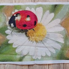 Работа «Букашка и ромашка»
