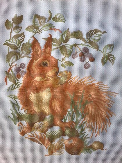 Работа «squirrel»