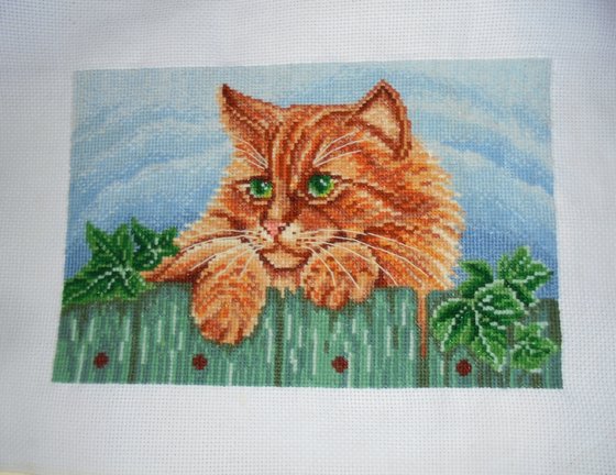 Работа «Рыжий кот»