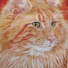 Работа «Рыжий кот»