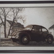 Работа «Старая фотография. Жук.»