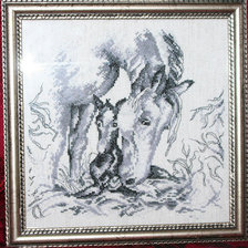 Работа «с жеребенком»