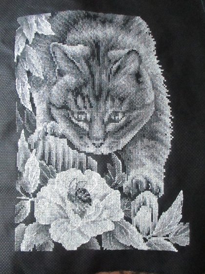 Работа «Котёнок и цветок.»