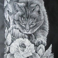 Работа «Котёнок и цветок.»