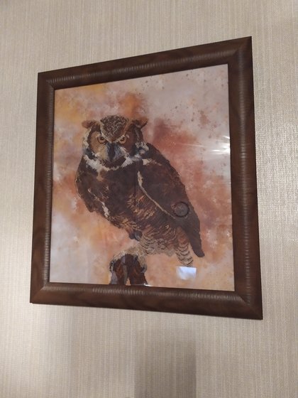 Работа «"Сова"  Нова Слобода»