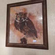 Работа «"Сова"  Нова Слобода»