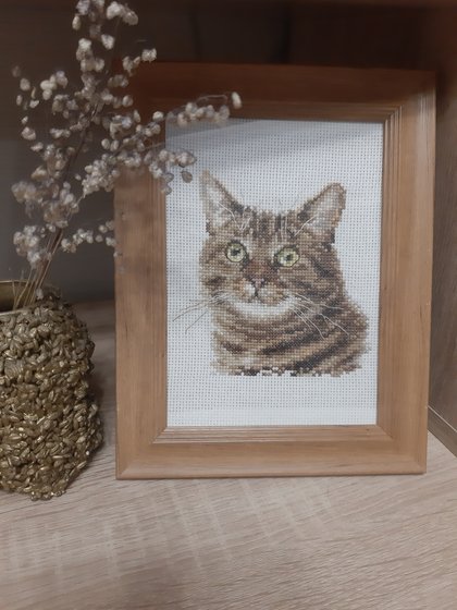 Работа «Европейский кот»